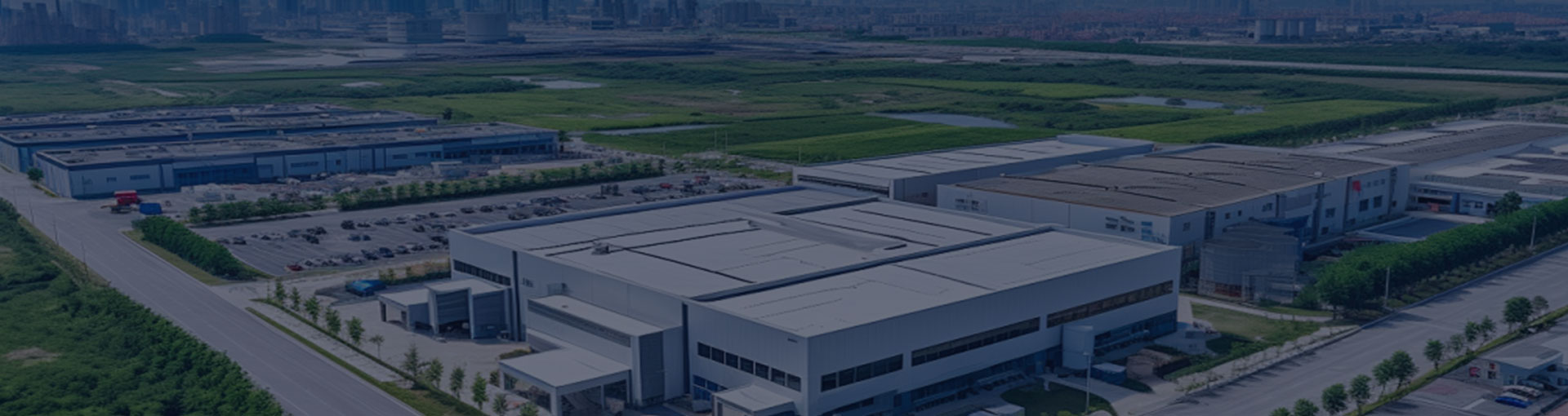 Company Profile
