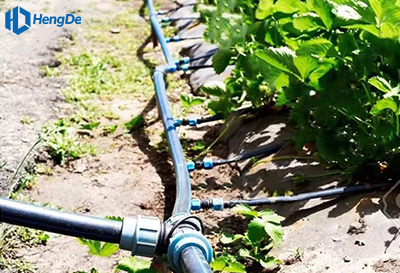 Black HDPE Pipe for Garden Irrigation