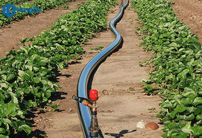Black HDPE Pipe for Garden Irrigation